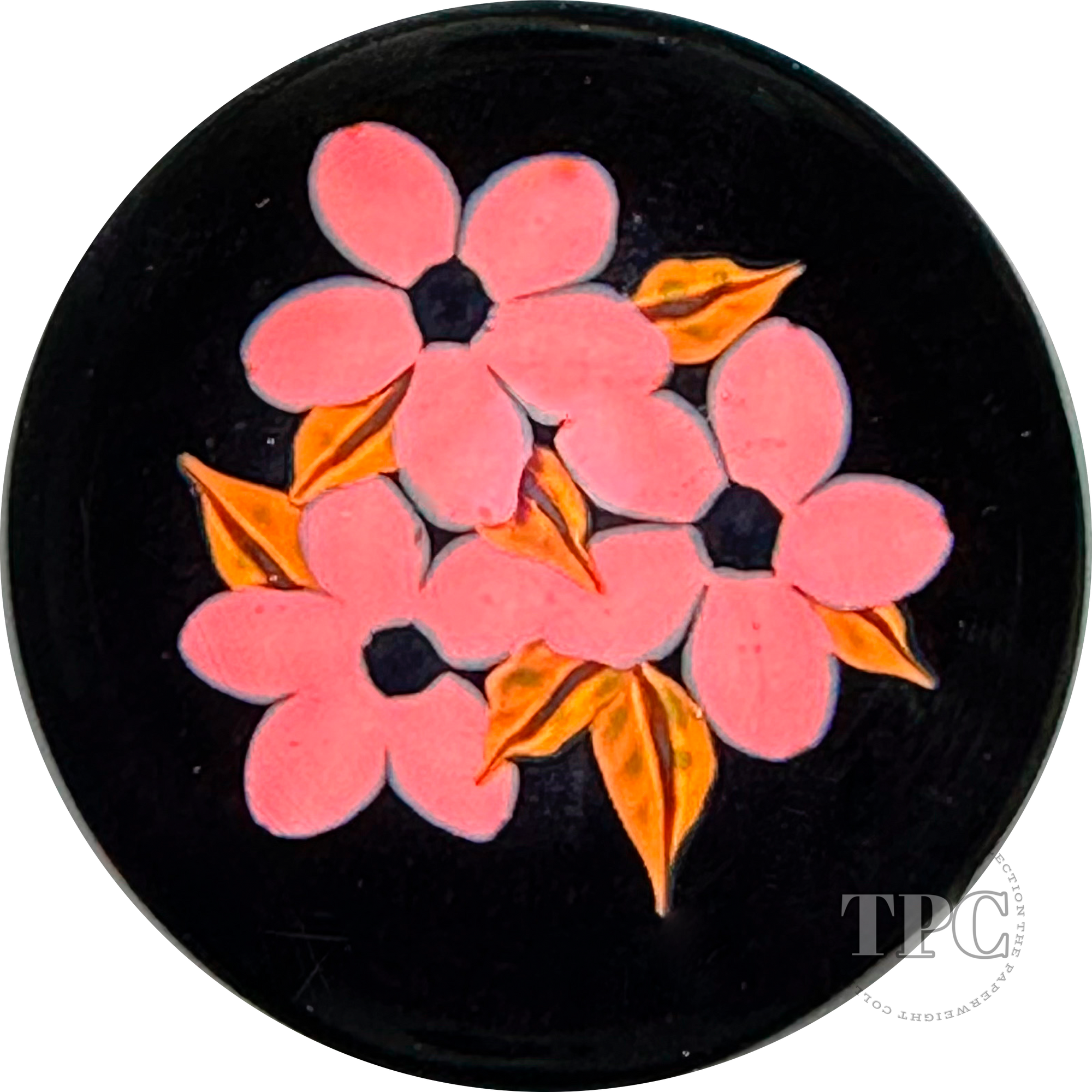 William Manson 2023 Miniature Art Glass Paperweight Flamework flowers on Black Ground