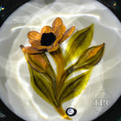 William Manson 2023 Faceted Art Glass Paperweight Flamework Yellow Daisy Bouquet