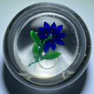 Antique New England Glass Co. NEGC Lampwork Blue Poinsettia