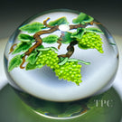 Randall Grubb 1991 Glass Art Paperweight Compound Flamework Chardonnay Grape Vines on Clear