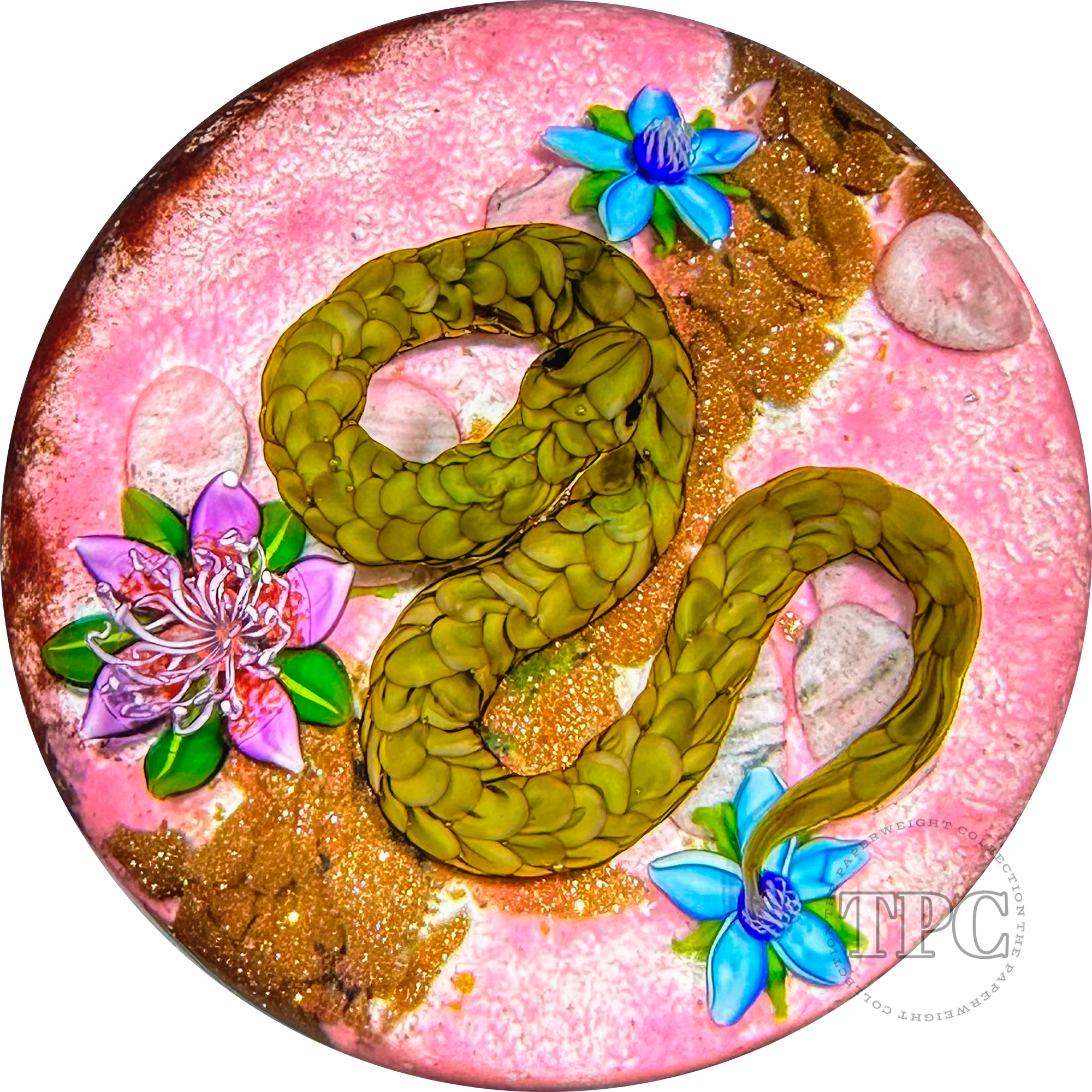 Ken Rosenfeld 2022 Glass Art Paperweight Flamework Brown Scaled Snake on Pink Sand with Pebbles & Perennial Flowers