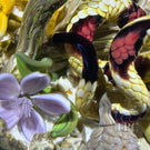 Gordon Smith 2025 Glass Art Paperweight Naturalistic Flamework Corn Snake with Perennials and Acorns