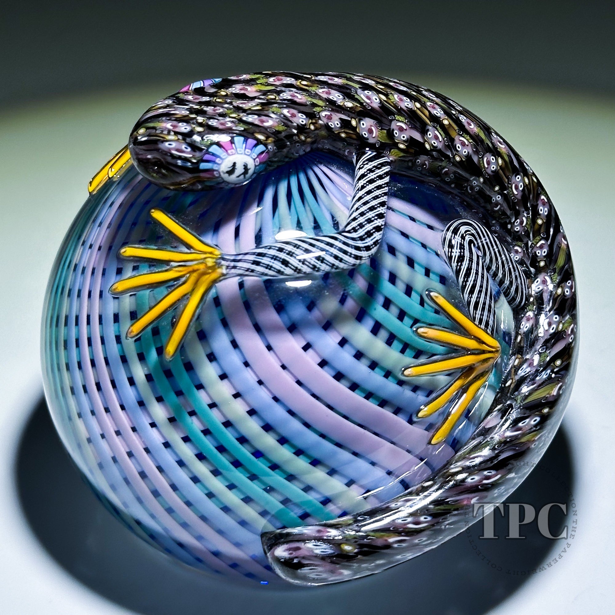 Michael Hunter 2025 Glass Art Paperweight Daftie Clad Lizard Pastel Reticello Crown