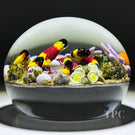 Gordon Smith 2024 Glass Art Paperweight Flamework Coral Snake with Eggs Daisies & Lichen Covered Rocks