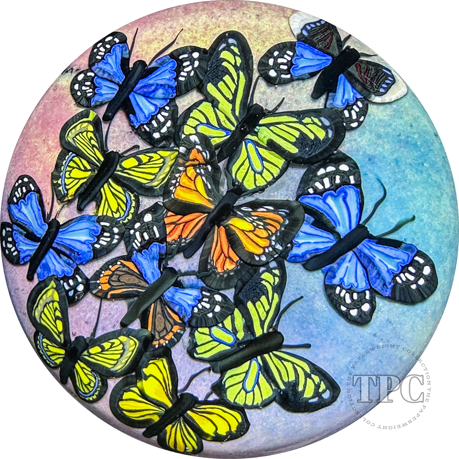 Cathy Richardson 2024 Glass Art Paperweight Flamework Butterfly Cloud 1 of 1