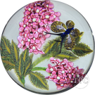 William Manson 2025 Glass Art Paperweight Flamework Pink Lilac with Butterfly 1-of-1