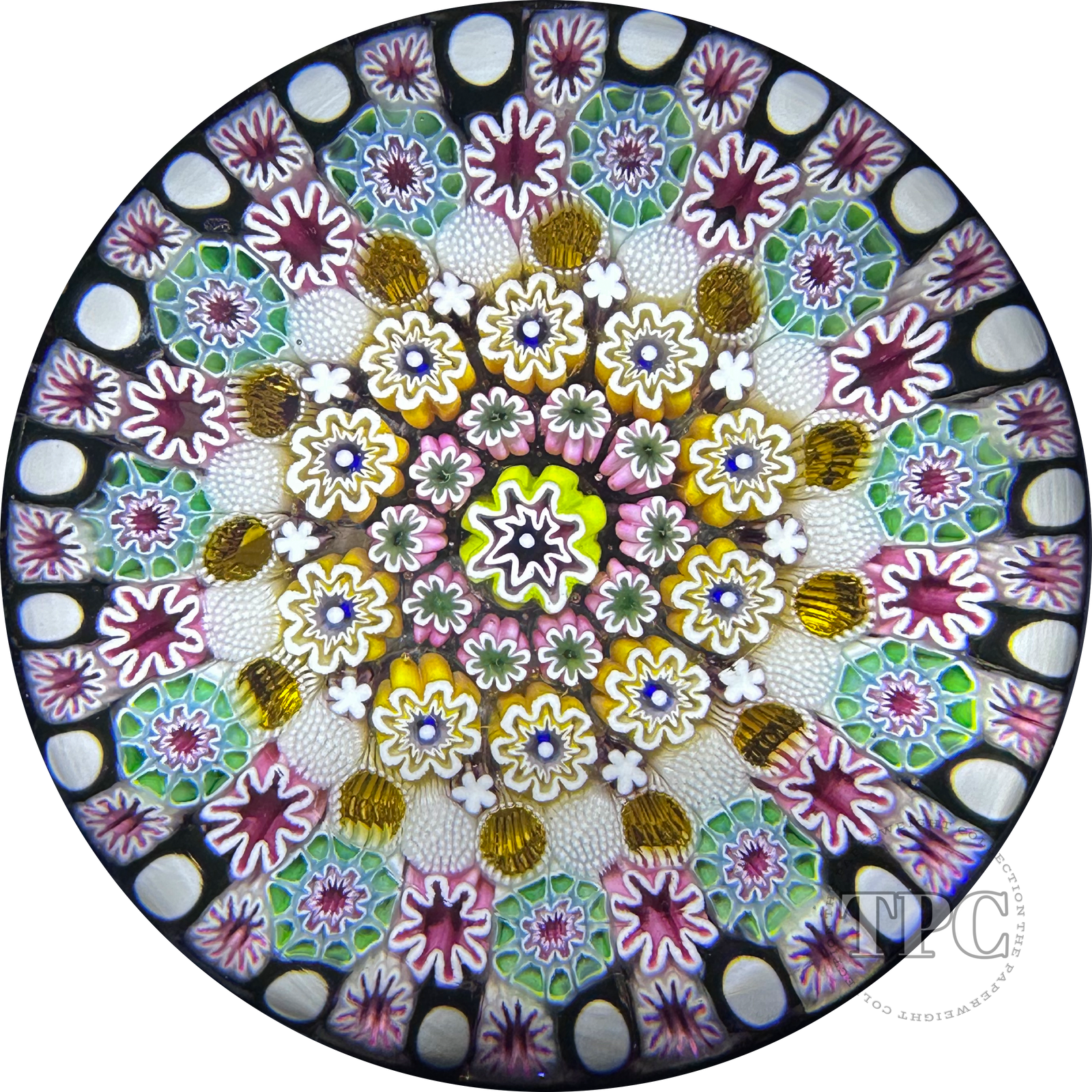 Damon MacNaught 2023 Magnum Glass Art Paperweight Complex Concentric Millefiori