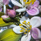 Gordon Smith 2025 Glass Art Paperweight Pink & White Apple Blossoms