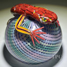 Michael Hunter 2023 Glass Art Paperweight Roses Clad Lizard on Pastel Reticello Crown