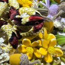 Gordon Smith 2025 Glass Art Paperweight Naturalistic Flamework Corn Snake with Perennials and Acorns