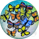 Cathy Richardson 2024 Glass Art Paperweight Flamework Butterfly Cloud 1 of 1