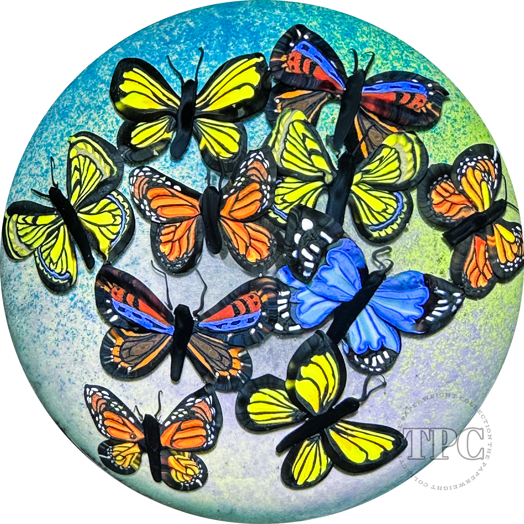 Cathy Richardson 2024 Glass Art Paperweight Flamework Butterfly Cloud 1 of 1