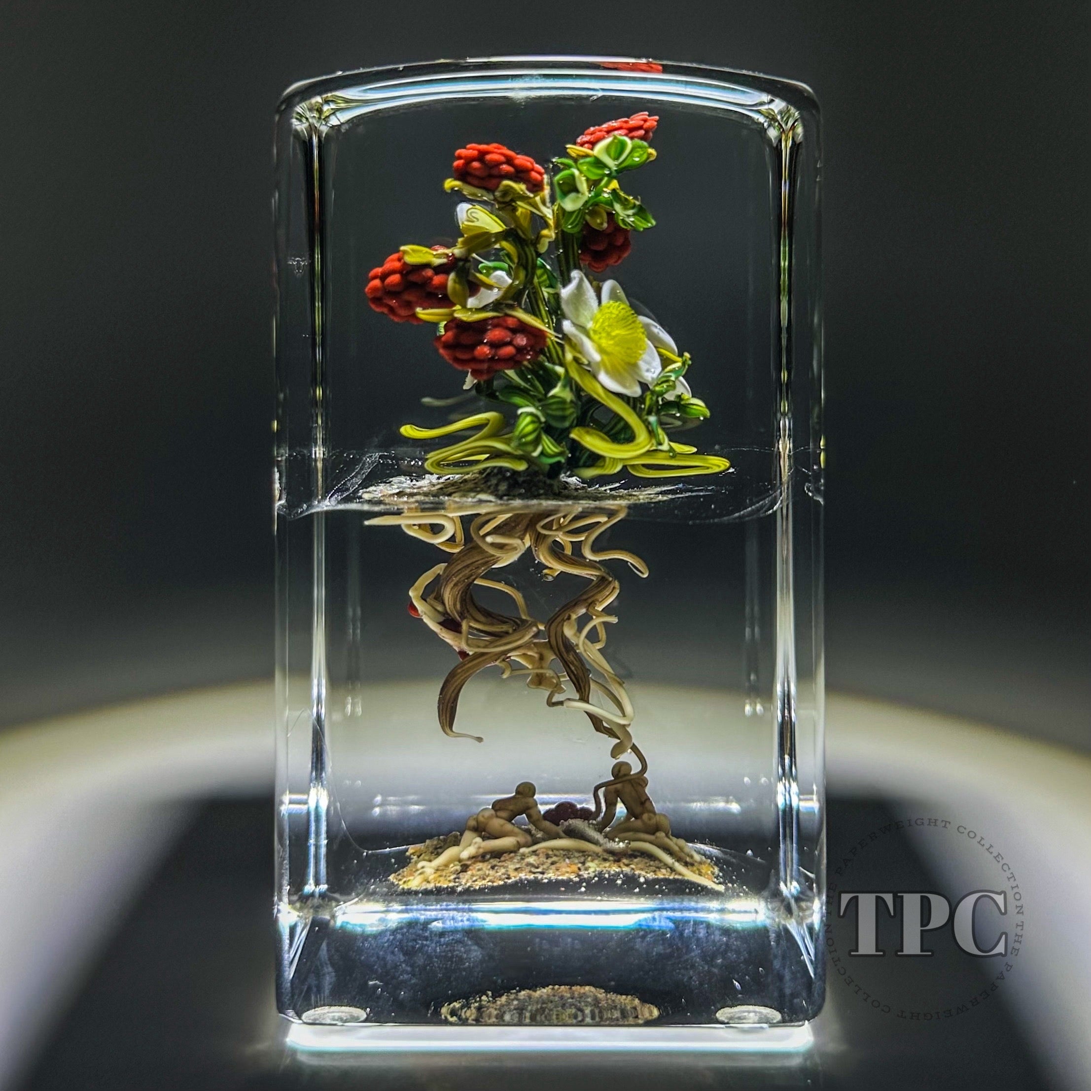Paul Stankard Glass Art Paperweight Flamework Bontanical Sculptural Bl