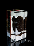 Damon MacNaught 2025 "Dualities #2" Glass Art Sculpture Slip Transfer Decorated & Coldworked