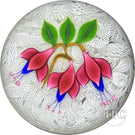 John Deacons Glass Art Paperweight Flamework Fuchsia on Upset White Muslin Lace