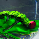 Perthshire 1984 Glass Art Paperweight Flamework Millefiori Caterpillar on Green Leaves
