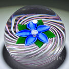 John Deacons Glass Art Paperweight Flamework Clematis Flower on Pink & White Pinwheel Crown