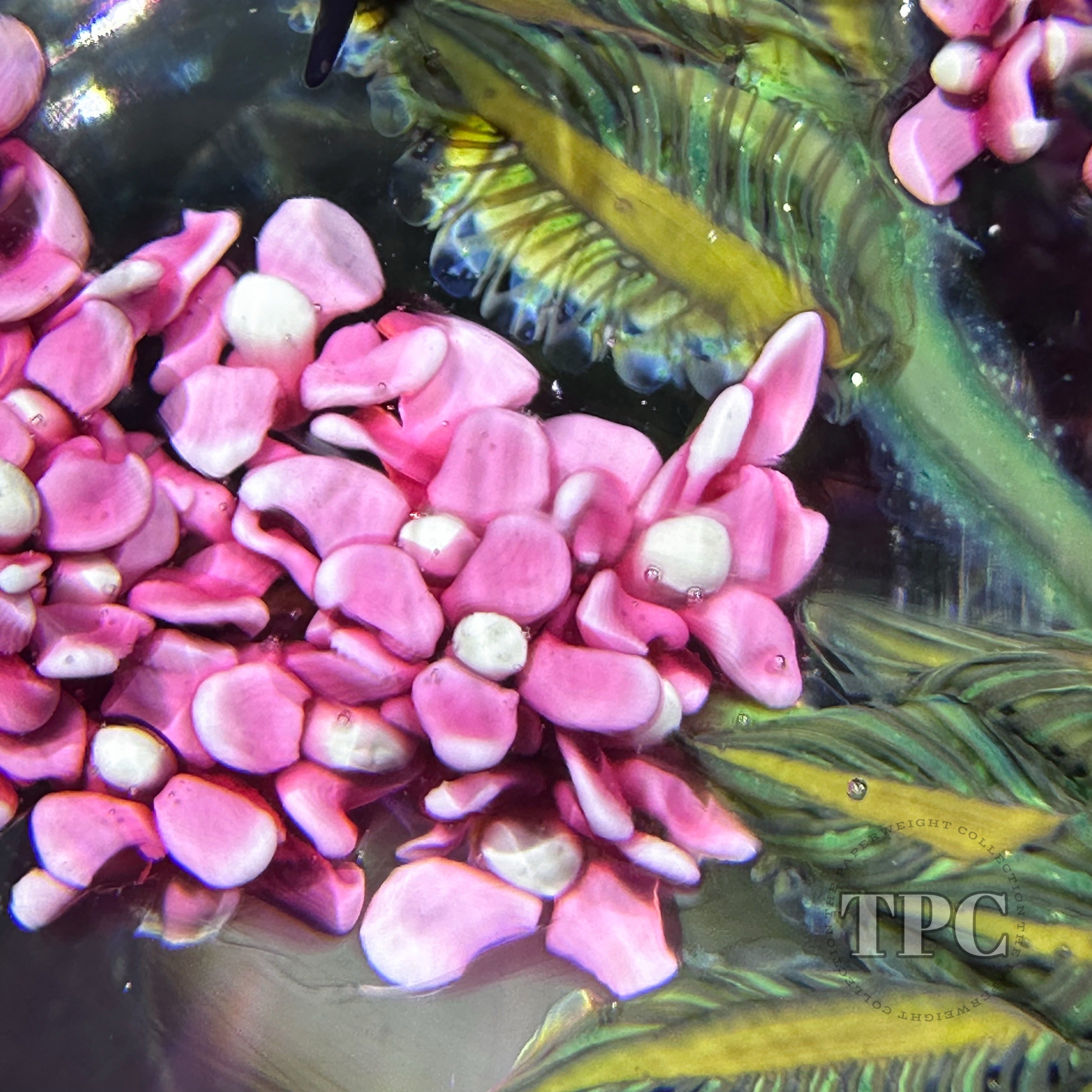 メリー ジェーン ワトソン　プロモfoil William Manson 2025 Glass Art Paperweight Flamework Pink