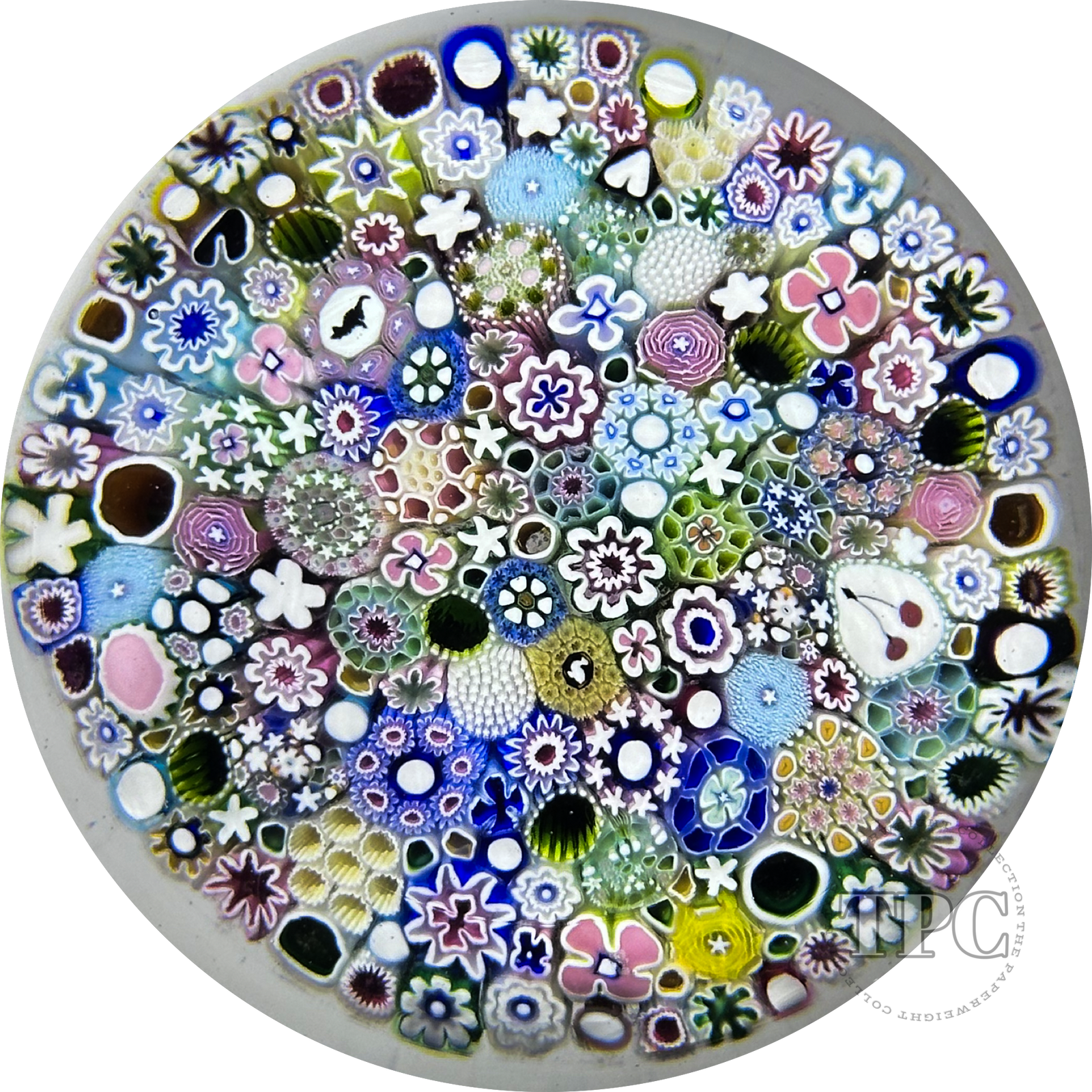 Damon MacNaught 2025 Magnum Glass Art Paperweight Complex Closepack Millefiori
