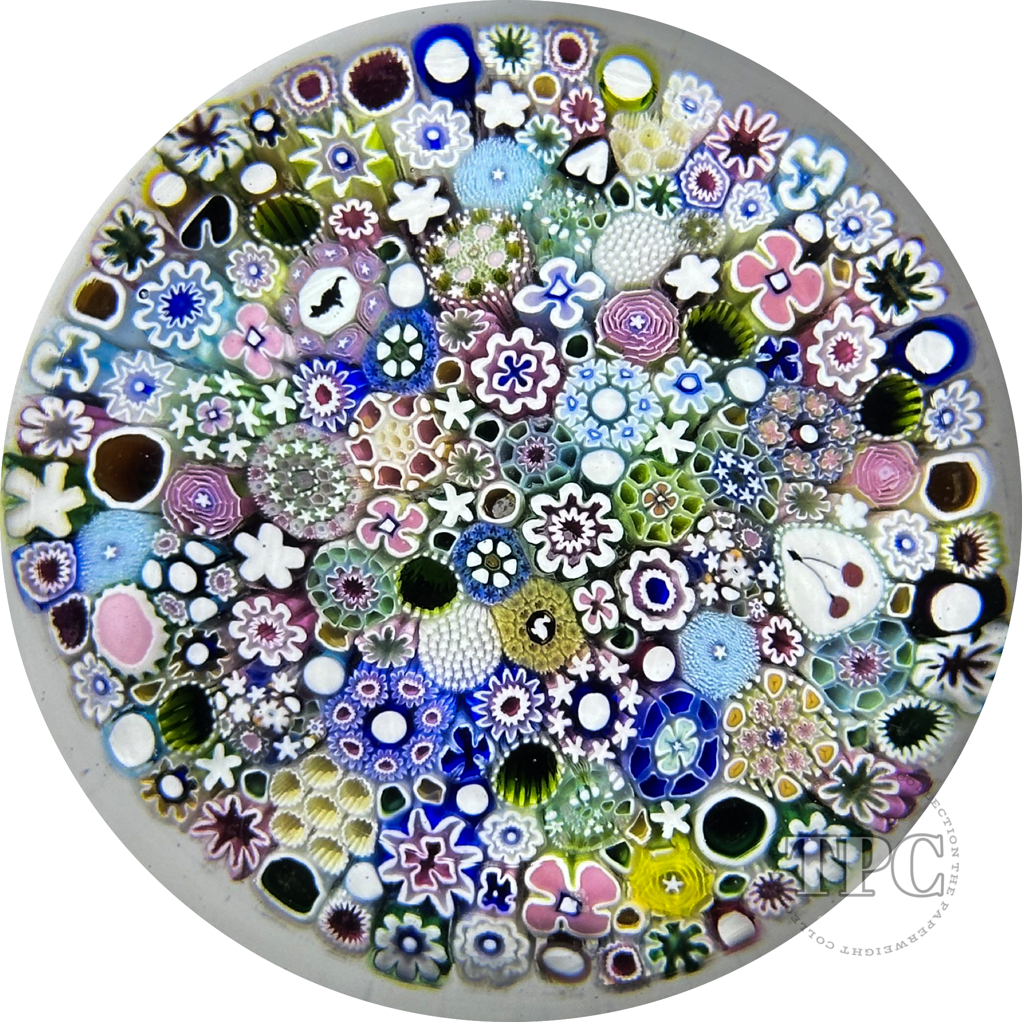 Damon MacNaught 2025 Magnum Glass Art Paperweight Complex Closepack Millefiori