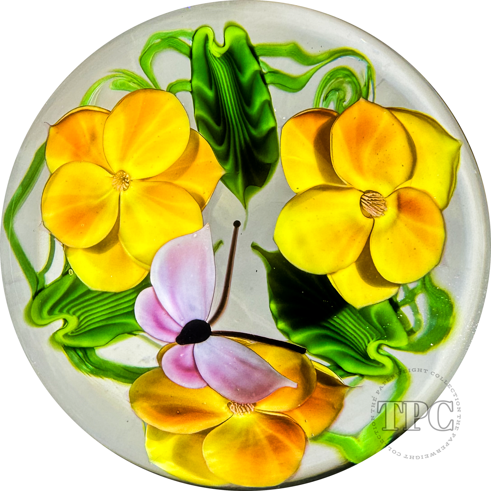 Daniel Salazar Lundberg Studios 1994 Glass Art Paperweight Torchwork Pink Butterfly with Orange Flowers