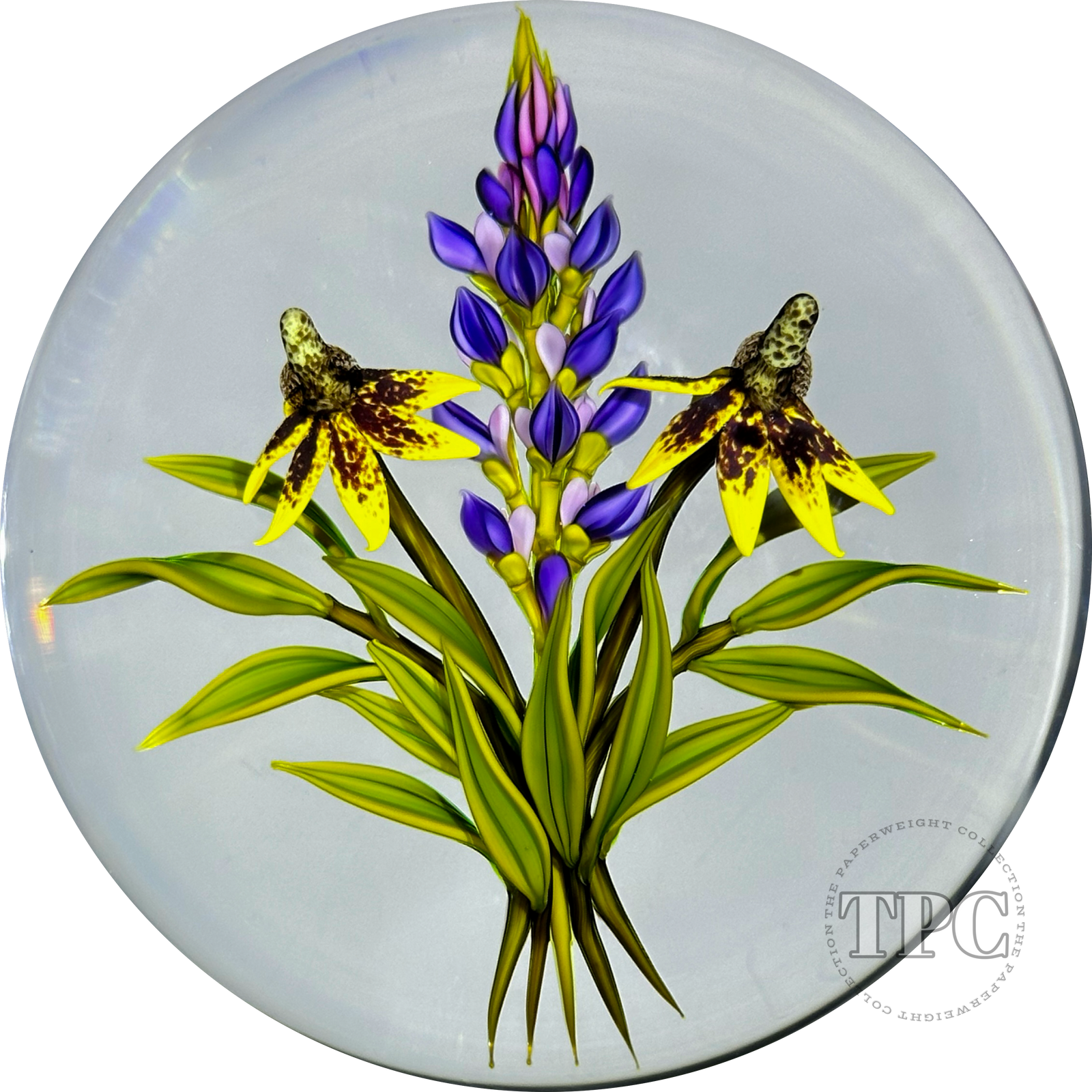 Chris Buzzini 1998 Glass Art Paperweight Flamework Wildflower Bouquet