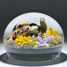 Gordon Smith 2025 Glass Art Paperweight Naturalistic Flamework Corn Snake with Perennials and Acorns