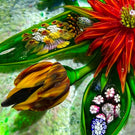 Debbie Tarsitano Glass Art Paperweight Flamework Fantasy Flower bouquet with Complex Millefiori
