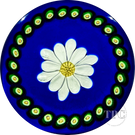 Rare Joyce Manson 2002 Glass Art Paperweight White Daisy with Millefiori Garland on Blue