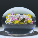 Gordon Smith 2025 Glass Art Paperweight Pink & White Apple Blossoms