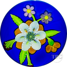 Perthshire 1986 Glass Art Paperweight Flamework Large Bouquet on Blue