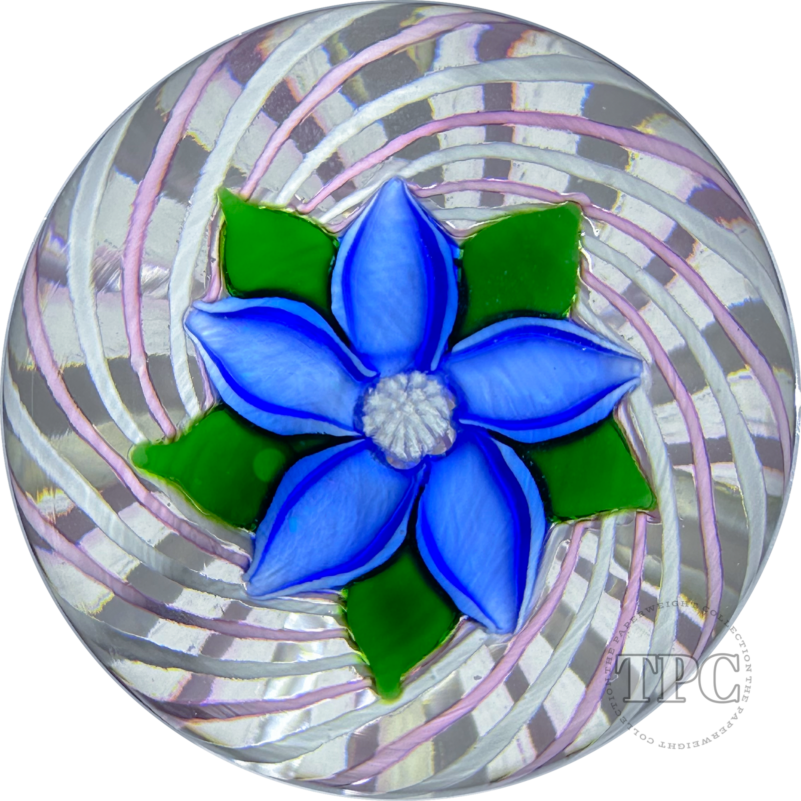 John Deacons Glass Art Paperweight Flamework Clematis Flower on Pink & White Pinwheel Crown