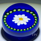 Rare Joyce Manson 2002 Glass Art Paperweight White Daisy with Millefiori Garland on Blue