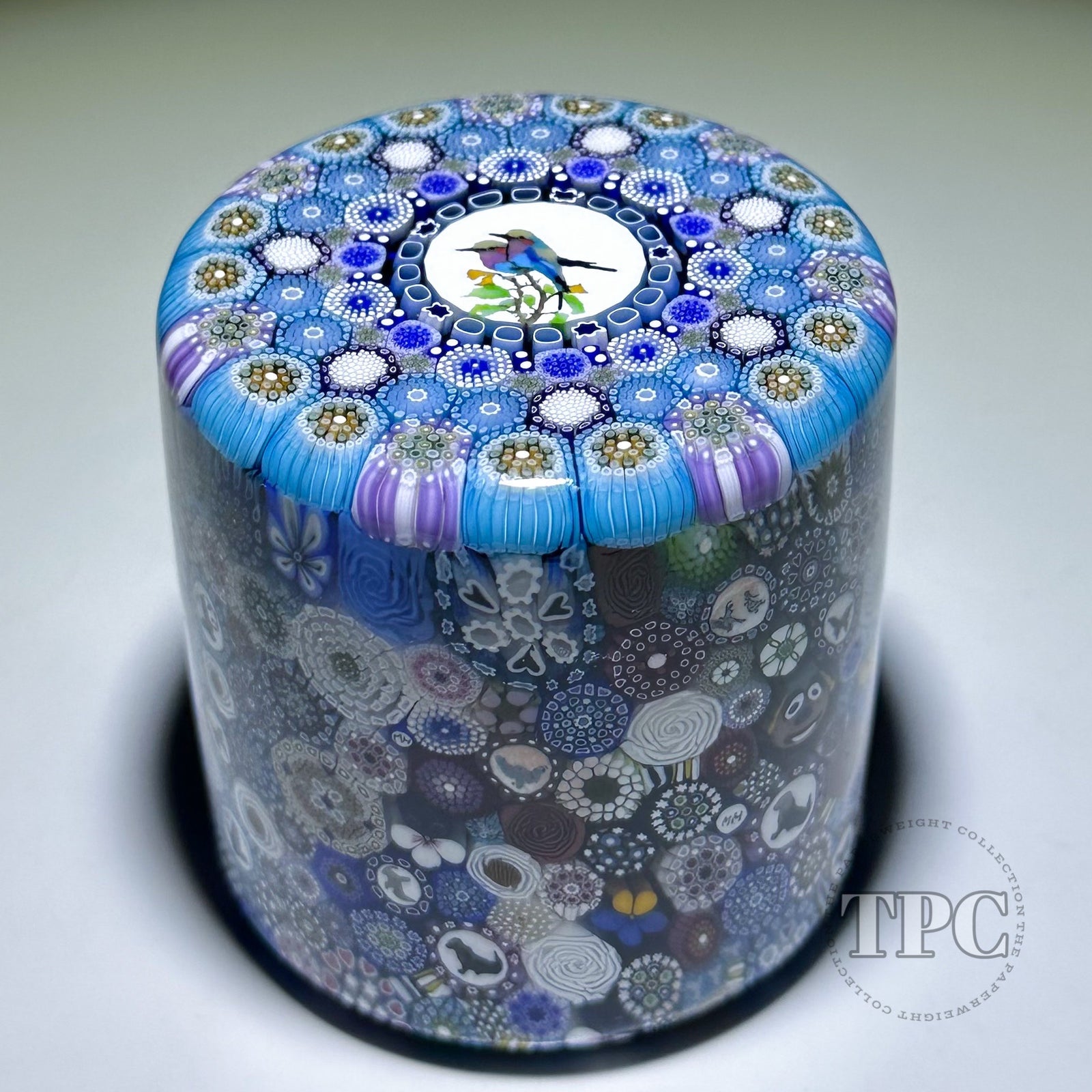 Michael Hunter 2025 Glass Art Paperweight Cylinder Gouldian Finch Closepack
