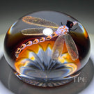 Gordon Smith 2024 Glass Art Paperweight Flamework Dragonfly Over Star-Cut Amber Ground