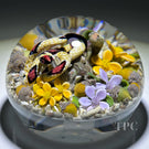 Gordon Smith 2025 Glass Art Paperweight Naturalistic Flamework Corn Snake with Perennials and Acorns