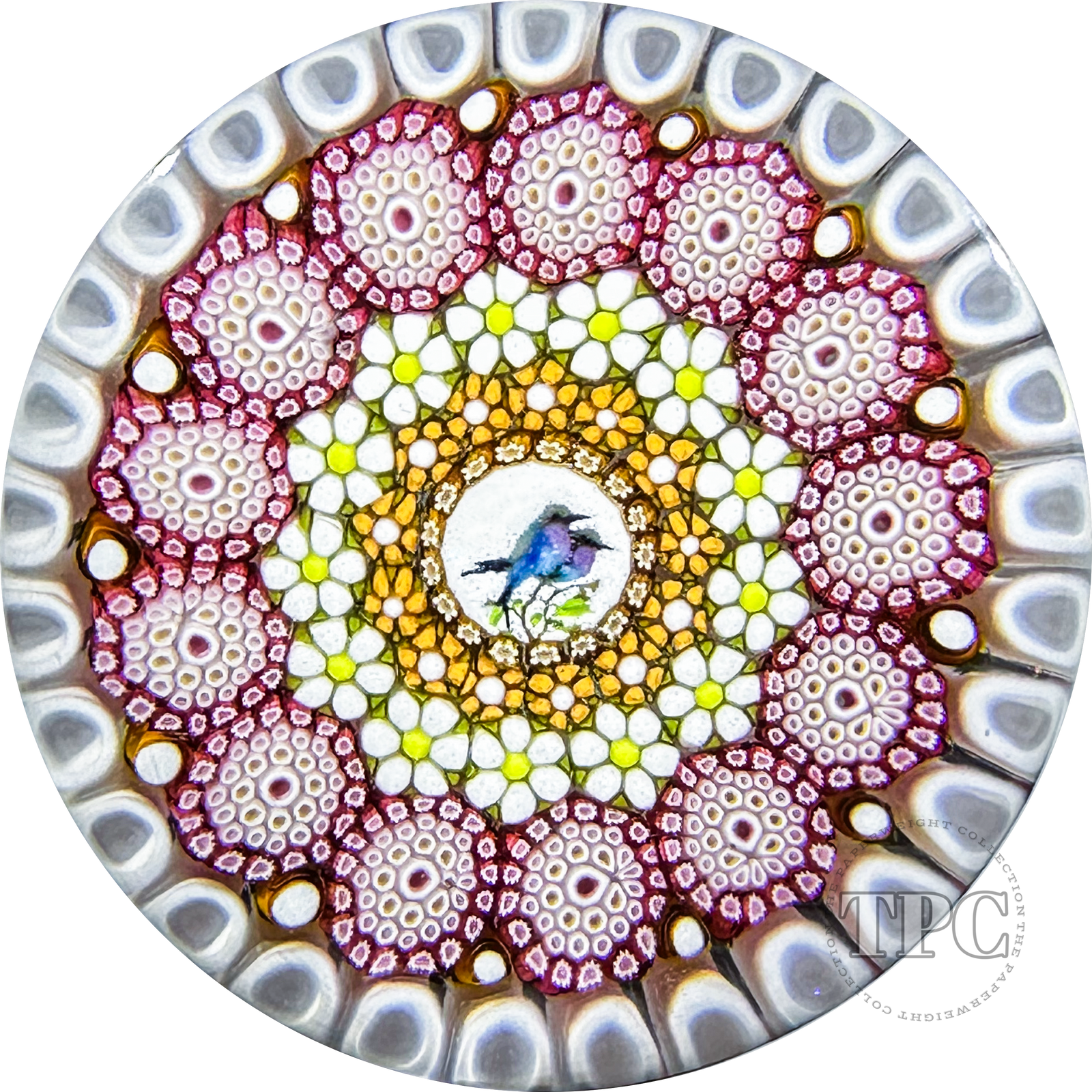 Miniature Michael Hunter Twists Studio 2024 Glass Art Paperweight Concentric Millefiori with Gouldian Finch Murrine