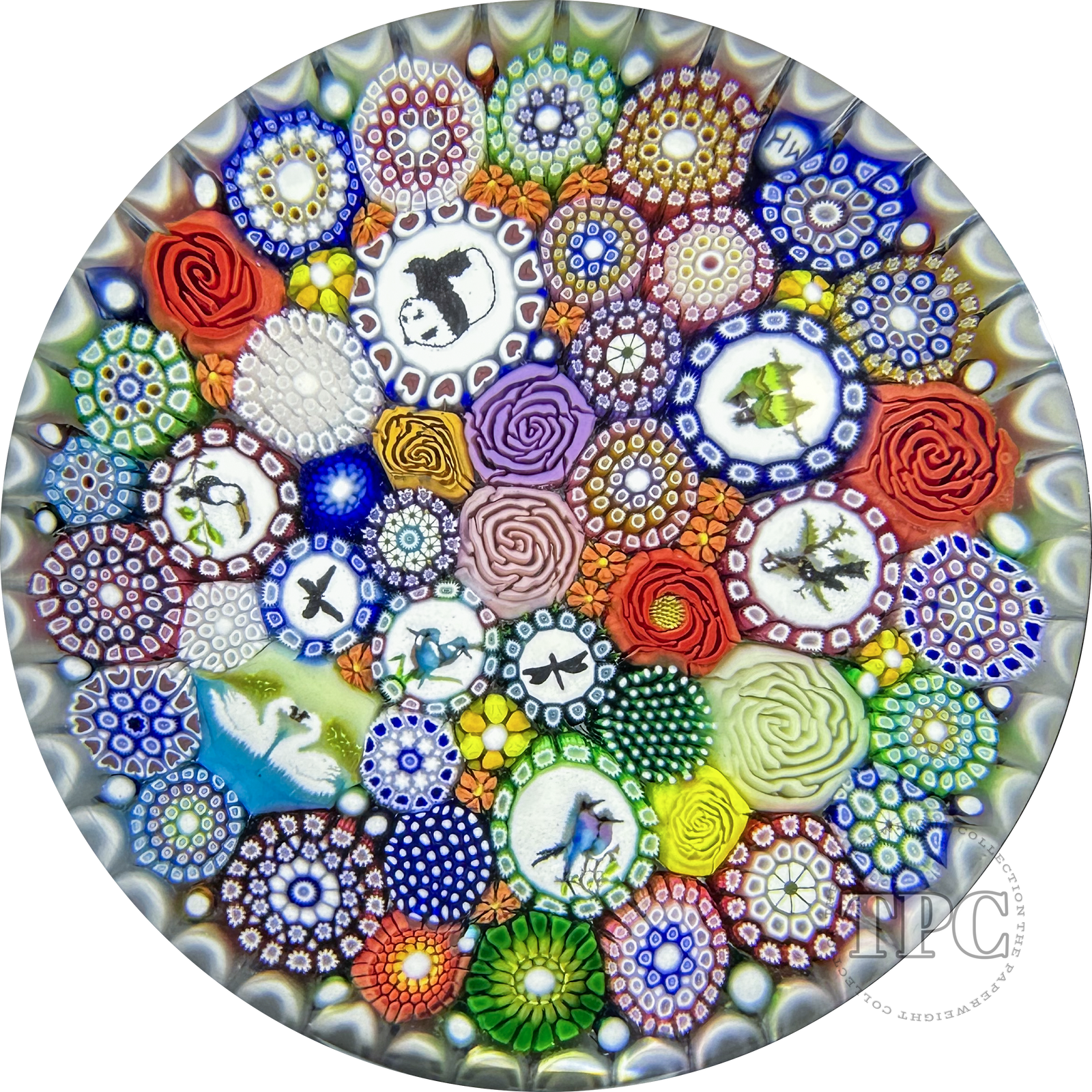 Michael Hunter Twists Studio 2024 Glass Art Paperweight Millefiori Closepack with Picture Murrine & Rose Canes