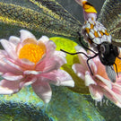 Gordon Smith 2026 Glass Art Paperweight Flamework Dragonfly Over Pink Lotus Pond