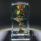 Paul Stankard Glass Art Paperweight Flamework Bontanical Sculptural Block Red Raspberries with White Blossoms and Root People
