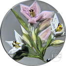 William Manson 2025 Glass Art Paperweight Flamework Pink & White Liliies 1-of-1