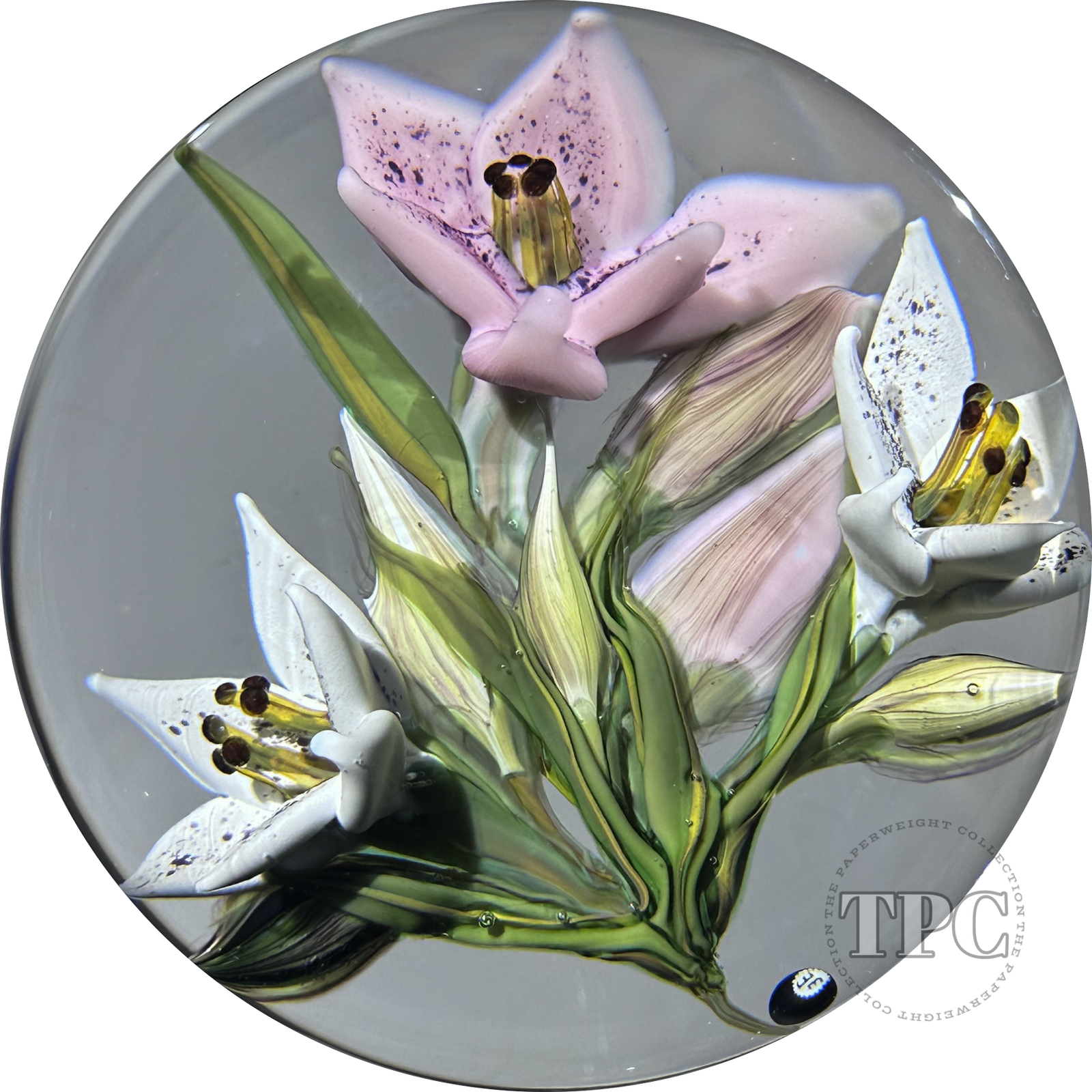 William Manson 2025 Glass Art Paperweight Flamework Pink & White Liliies 1-of-1