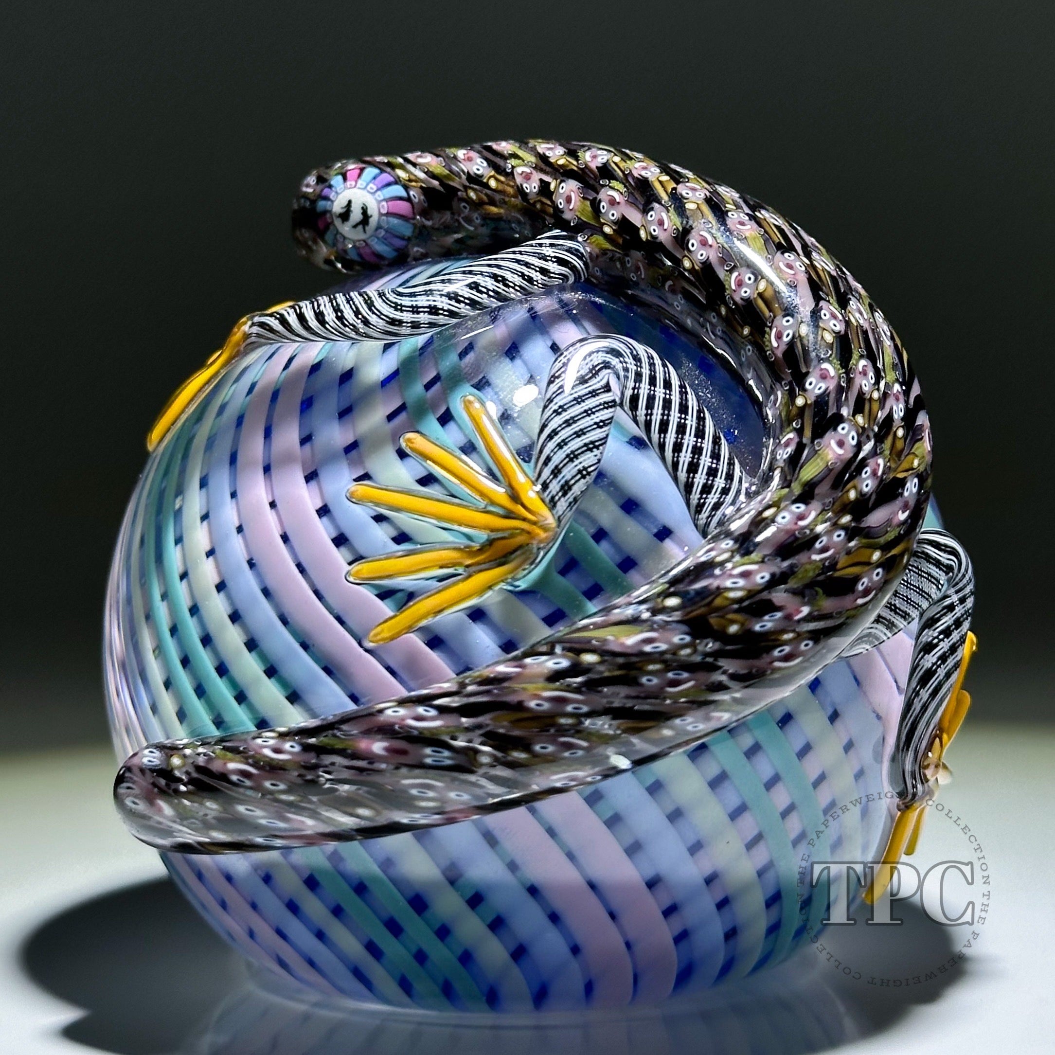 Michael Hunter 2025 Glass Art Paperweight Daftie Clad Lizard Pastel Re