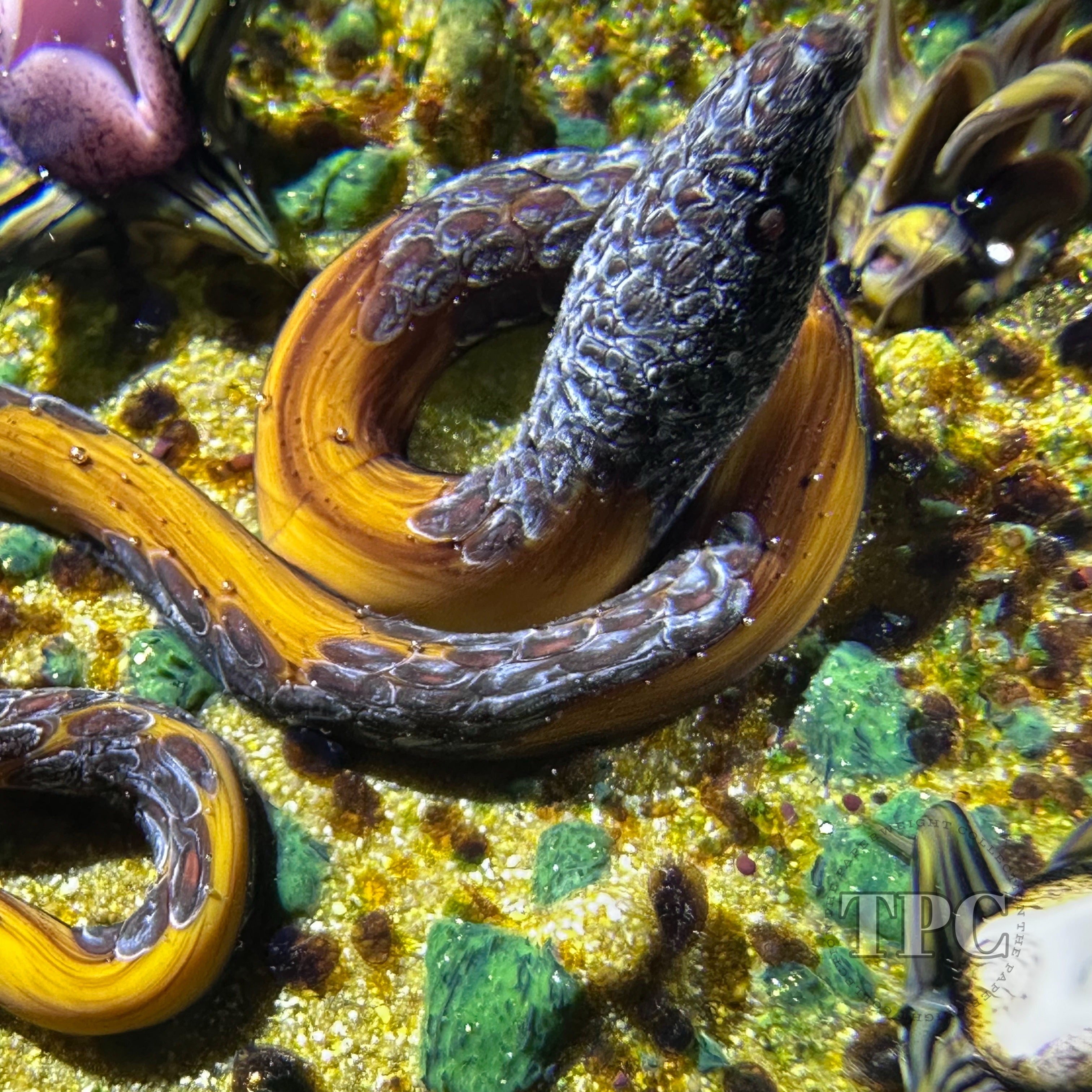 メリー ジェーン ワトソン　プロモfoil William Manson 2025 Glass Art Paperweight Flamework Pink