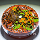 Gordon Smith 1996 Glass Art Paperweight Flamework Desert Tarantula with Flowers