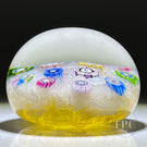 Perthshire 1975 Glass Art Paperweight Spaced Complex Millefiori on Upset White Muslin Amber-cushioned Ground PP13