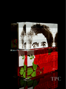 Damon MacNaught 2025 "Dualities" Diptych Self Portrait Glass Art Sculpture Slip Transfer Decorated & Coldworked