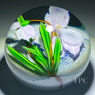 Mayauel Ward 2003 Glass Art Paperweight Compound Torchwork Pink Orchid Flower
