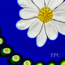 Rare Joyce Manson 2002 Glass Art Paperweight White Daisy with Millefiori Garland on Blue
