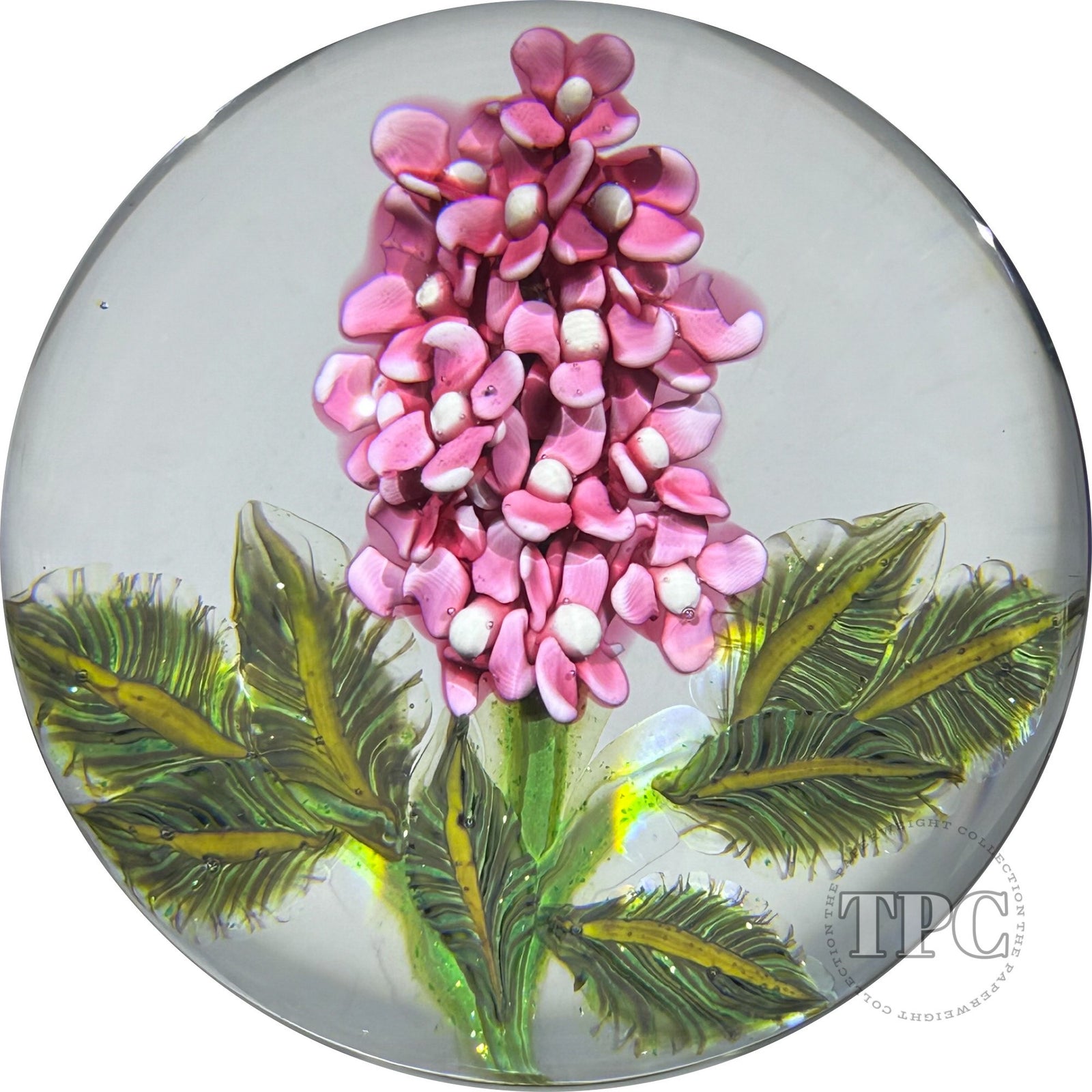 William Manson 2025 Glass Art Paperweight Flamework Pink Lilac 1-of-1